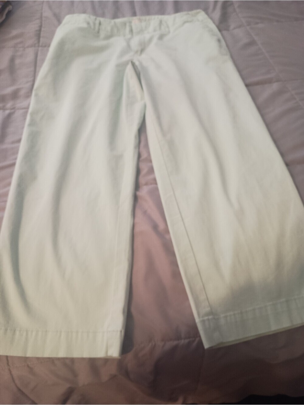 Women's pants a new day size 12